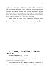 Paauglių narkomanijos problema ir jos atspindys Lietuvos spaudoje 13 puslapis