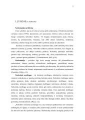 Paauglių narkomanijos problema ir jos atspindys Lietuvos spaudoje 2 puslapis