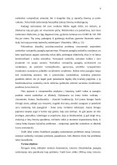 Paauglių narkomanijos problema ir jos atspindys Lietuvos spaudoje 3 puslapis