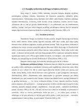 Paauglių požiūris į narkotines medžiagas 12 puslapis