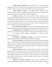 Paauglių požiūris į narkotines medžiagas 17 puslapis