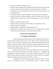 Paauglių požiūris į narkotines medžiagas 8 puslapis