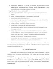 Pagrindinės kliūtys plėtojant verslą. UAB "Šeigo" susidūrimas su kliūtimis plėtojant verslą 10 puslapis