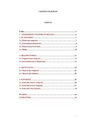 Pagrindinės valdymo funkcijos