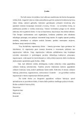 Pagrindinės valdymo funkcijos 2 puslapis