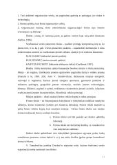 Pagrindinės valdymo funkcijos 11 puslapis