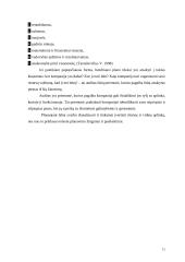 Pagrindinės valdymo funkcijos 12 puslapis