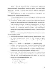 Pagrindinės valdymo funkcijos 19 puslapis