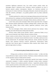 Pagrindinės veiklos apskaita: didmeninė prekyba šaldytais  produktais UAB "Sėda" 13 puslapis