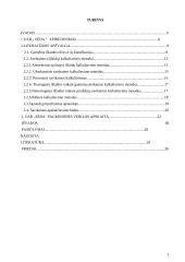 Pagrindinės veiklos apskaita: didmeninė prekyba šaldytais  produktais UAB "Sėda" 3 puslapis