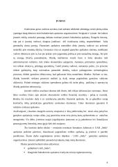 Pagrindinės veiklos apskaita: didmeninė prekyba šaldytais  produktais UAB "Sėda" 4 puslapis