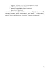 Pagrindinės veiklos apskaita: didmeninė prekyba šaldytais  produktais UAB "Sėda" 5 puslapis