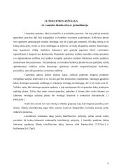 Pagrindinės veiklos apskaita: didmeninė prekyba šaldytais  produktais UAB "Sėda" 9 puslapis