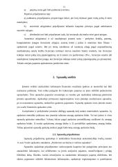 Pajamų ir sąnaudų sudėtis prekybinėje įmonėje, jų tarpusavio ryšys 11 puslapis