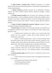 Pajamų pripažinimas 11 puslapis