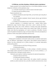 Pajamų pripažinimas 13 puslapis