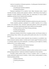 Pajamų pripažinimas 14 puslapis