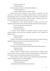 Pajamų pripažinimas 15 puslapis