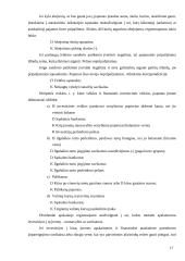 Pajamų pripažinimas 17 puslapis