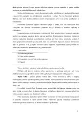 Pajamų pripažinimas 5 puslapis