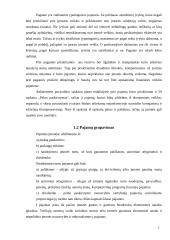 Pajamų pripažinimas 7 puslapis