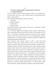 Pajamų, sąnaudų pripažinimas ir apskaita gamybinėse įmonėse 11 puslapis
