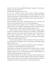 Pajamų, sąnaudų pripažinimas ir apskaita gamybinėse įmonėse 12 puslapis