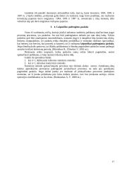 Palūkanos: tipai, normos, finansiniai apskaičiavimai 17 puslapis