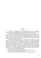 Palūkanos: tipai, normos, finansiniai apskaičiavimai 20 puslapis