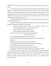 Pardavimų vieta ir organizavimas 13 puslapis
