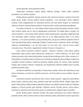 Pardavimų vieta ir organizavimas 15 puslapis