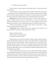 Pardavimų vieta ir organizavimas 5 puslapis