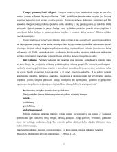 Pardavimų vieta ir organizavimas 6 puslapis