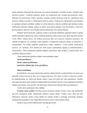 Pardavimų vieta ir organizavimas 9 puslapis
