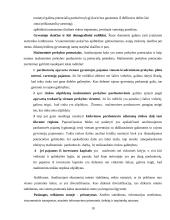 Pardavimų vieta ir organizavimas 10 puslapis