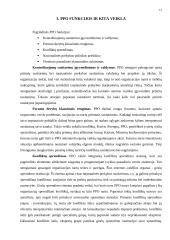 PPO kilmė, svarba organizacijai priklausiančioms šalims, privalumai ir trūkumai 10 puslapis