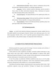 Paskatų ir pripažinimo programų steigimas firmoje 10 puslapis