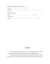 Paslaugų tipai užimtumo problemoms spręsti 2 puslapis