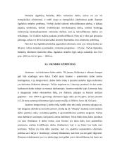 Paslaugų tipai užimtumo problemoms spręsti 13 puslapis