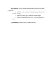 Paslaugų tipai užimtumo problemoms spręsti 4 puslapis