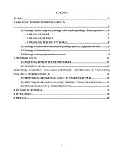 Paslaugų verslo organizavimas 2 puslapis