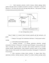 Paslaugų verslo organizavimas 13 puslapis