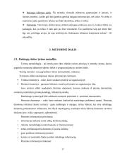 Paslaugų verslo organizavimas 17 puslapis