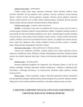 Paslaugų verslo organizavimas 20 puslapis