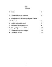 Pašarų dalijimo mechanizmas 2 puslapis