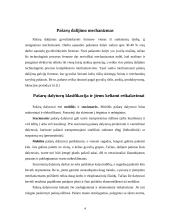 Pašarų dalijimo mechanizmas 4 puslapis