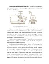 Pašarų dalijimo mechanizmas 7 puslapis