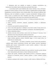 Pašto korespondencijos apdorojimas ir analizė: VŠĮ  "Šakių paštas" 18 puslapis