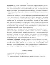 Pažintinis turistinis maršrutas: Memelio kraštas 13 puslapis