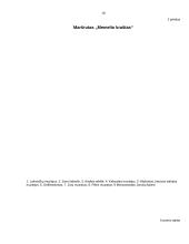 Pažintinis turistinis maršrutas: Memelio kraštas 19 puslapis